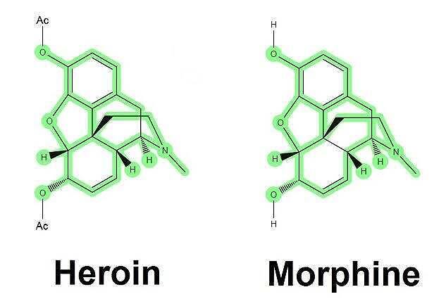 Side-by-side comparison of the chemical structures of morphine and heroin, illustrating their molecular differences, relevant to discussions on morphine addiction.