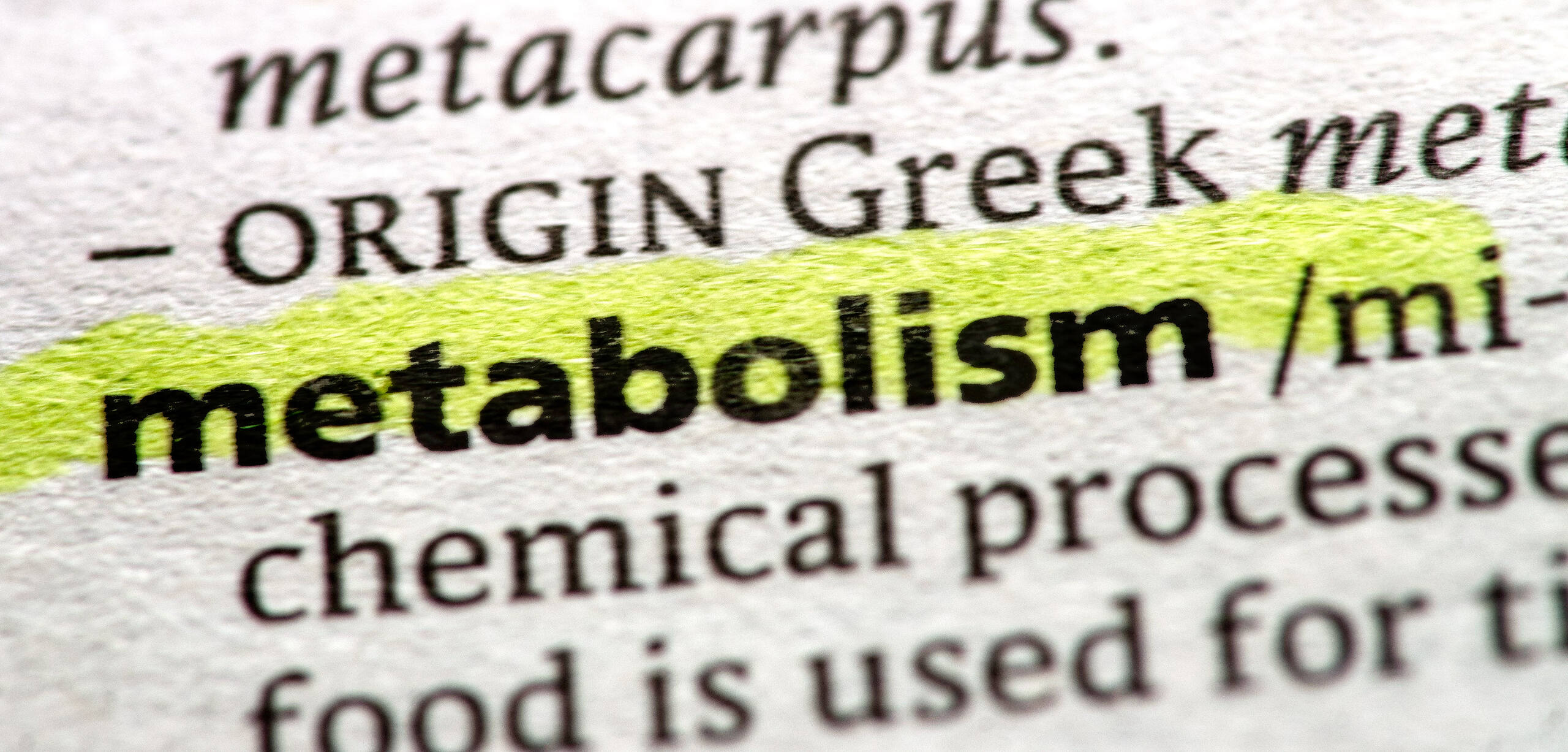 Close-up of dictionary definition of 'metabolism' highlighted in yellow, emphasizing its role in drug processing and detection timeframes