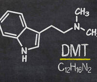 Chemical structure of DMT (Dimethyltryptamine) drawn in chalk on a blackboard, showing molecular formula C12H16N2