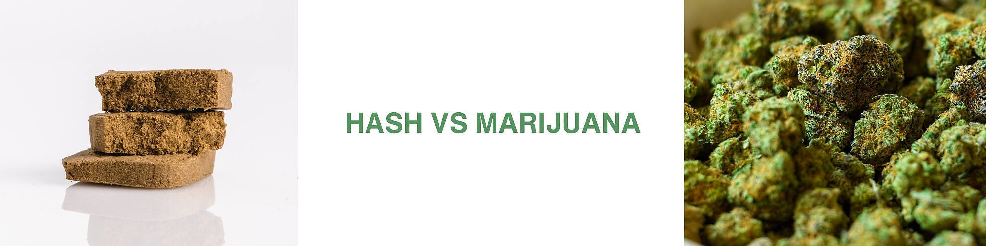 Comparison image showing hash blocks on the left and marijuana buds on the right, with text 'HASH VS MARIJUANA' in the center