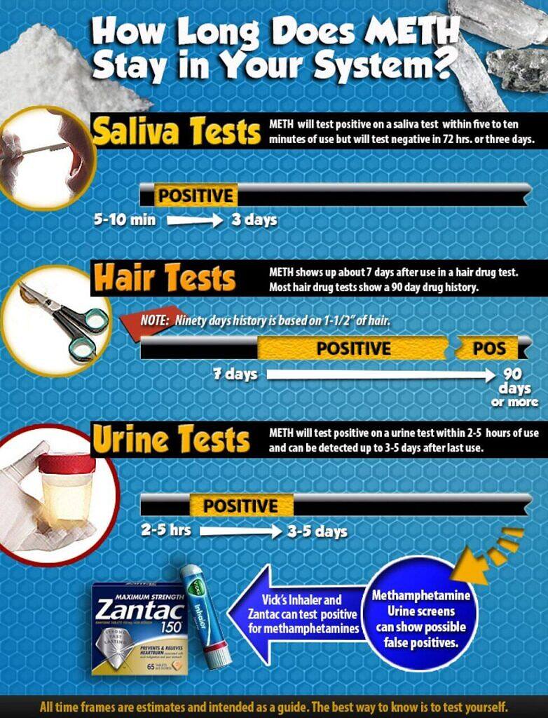 Infographic showing how long meth stays in your system for different drug tests: saliva (3 days), hair (90 days), and urine (3-5 days). Includes note about false positives from Zantac and Vick's Inhaler.