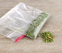 Small plastic bag containing dried marijuana leaves on wooden surface, illustrating cannabis possession and use