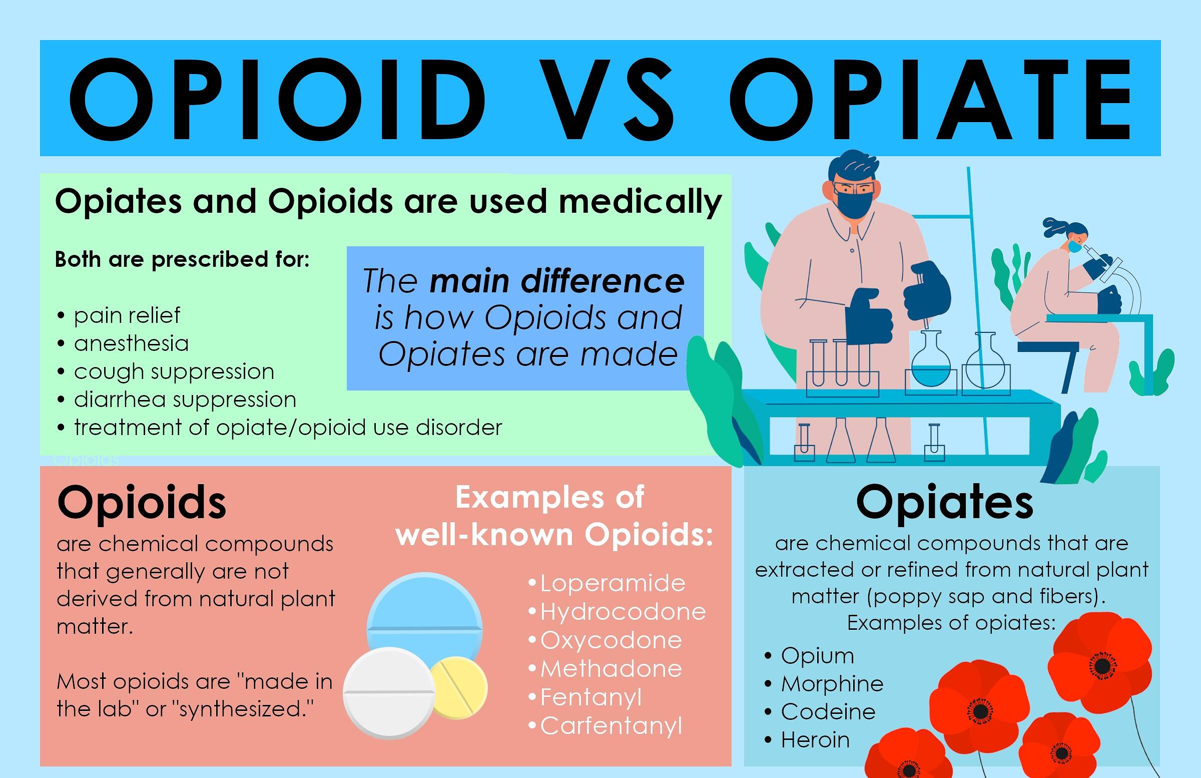 Infographic comparing opioids and opiates, their medical uses, examples, and how they're made, relevant for opiate addiction treatment